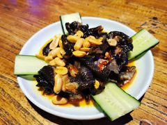 -猫头婴小酒馆FUN OWL(1912店)