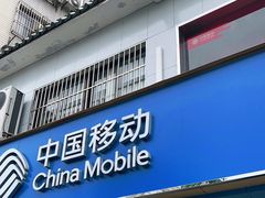 -中国移动(七莘路营业厅)