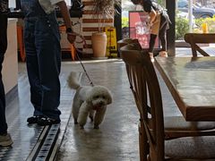 -Torch Coffee 炬点咖啡