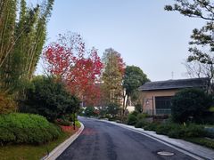 -青山湖科技城户外乐园