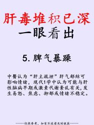 点击看大图 -玛莲朵·海菲秀冰珀科