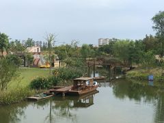 -上海长兴岛郊野公园