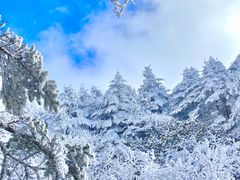 -峨眉山风景名胜区