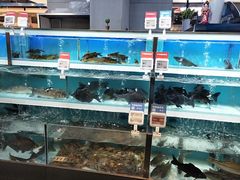 -盒马X会员店(王府井奥莱UP TOWN店)