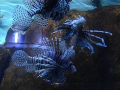 -蓬莱欧乐堡海洋极地世界