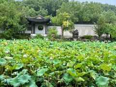 -八大山人梅湖景区