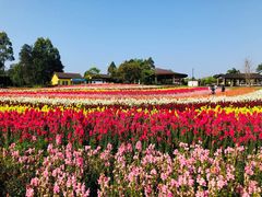 -保利石象湖景区