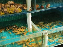 -李哥海鲜烧烤家常菜(孔雀城店)