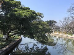 -江心屿景区