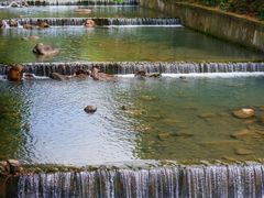 -广州白江湖森林公园