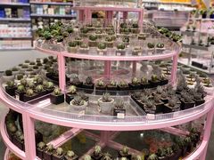 -KKV(深圳宏发大仟里店)