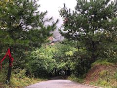 -塔云山