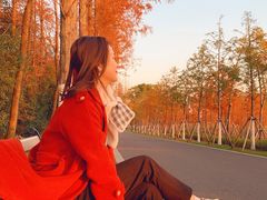 -昆山城市生态森林公园