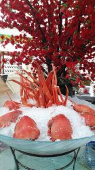 iphone_upload_pic-阳光五洲大酒店·宴会厅