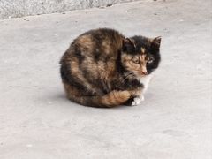-炳灵寺世界文化遗产旅游区