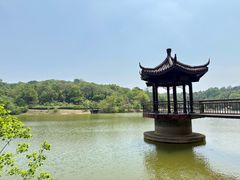 -宜兴龙背山森林公园