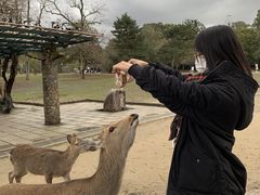 -灌篮高手动画打卡地