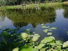 -东郊湿地公园