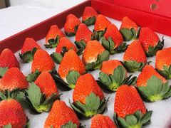 -唐桥水果批发市场