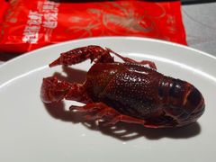 洪福冰镇龙虾-洪福龙虾