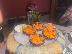 -胆道·海胆专门店(凯德晶萃店)