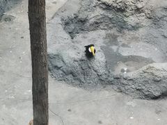 -武汉动物园