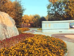 -武清南湖绿博园