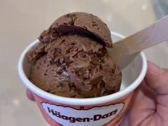 -哈根达斯(南开大悦城店)