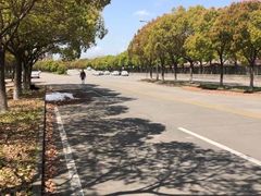 -安飞驰驾校·学车连锁(金高店)