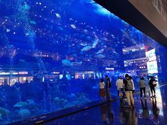 -成都浩海立方海洋公园