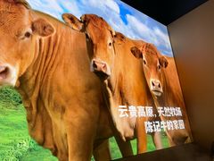 -陈记顺和潮汕鲜牛肉火锅(西门口广场店)