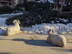 -元大都城垣遗址公园