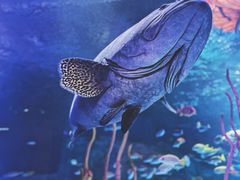 -沈阳海洋探索中心