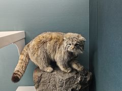 -国家自然博物馆