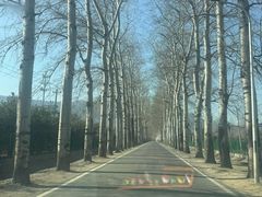 -北京西山滑雪场