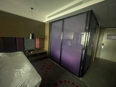 -南京禄口机场雅高铂尔曼大酒店