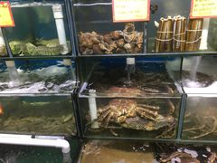水产区-蚝专家(北滘店)