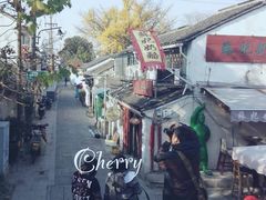 -苏妃奶酪(平江路店)