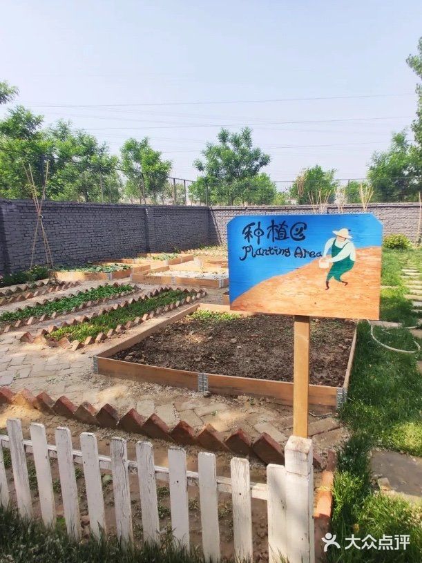 🌱种植可爱植物,体验不一样的亲子游!