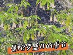 -广州市白云山风景名胜区