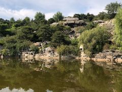 -北京西山国家森林公园