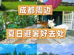 -老鼎万春卤菜(五代传承创始老店)