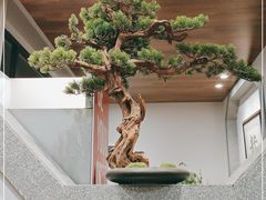 -戴家面(武康永安小区店)