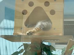 -青藏高原野生动物园