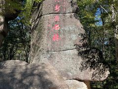-汤旺河林海奇石景区