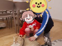 -有喵·猫咖·狗咖·30几只猫10只小狗(岗厦店)