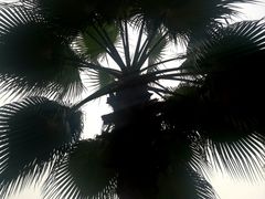 -飞凤山奥体公园