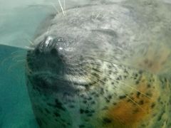 -左海海底世界