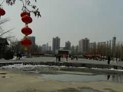 -莲花池公园