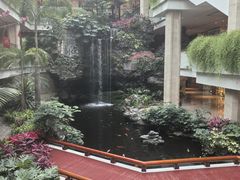 -广州白天鹅宾馆